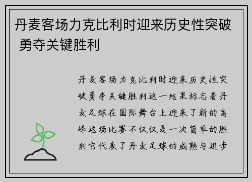 丹麦客场力克比利时迎来历史性突破 勇夺关键胜利