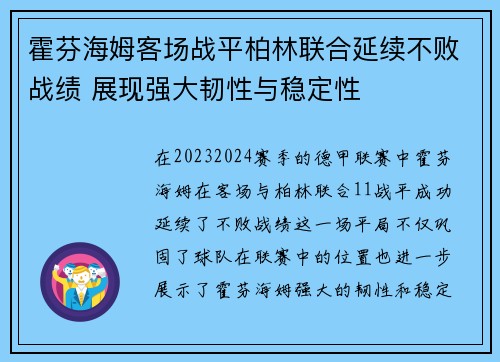 霍芬海姆客场战平柏林联合延续不败战绩 展现强大韧性与稳定性